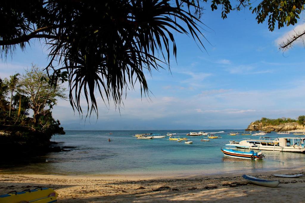 Molamola House Lembongan Quarto foto